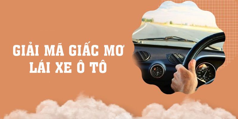 Giải Mã Giấc Mơ Lái Xe Ô Tô Với 3 Giấc Mơ Thường Gặp